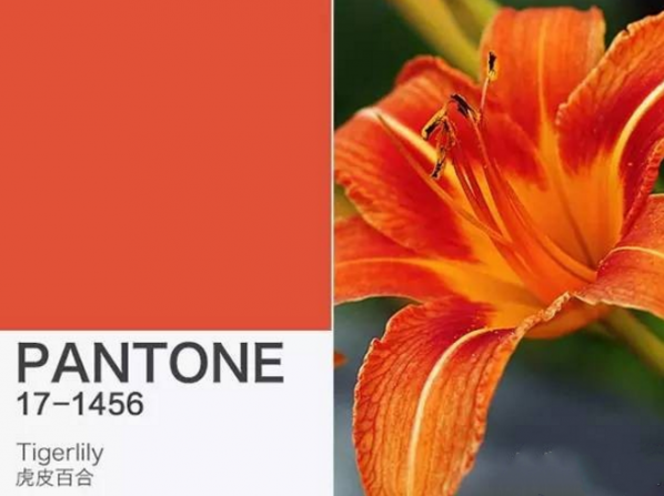 Pantone历年流行色 Pantone年度色彩
