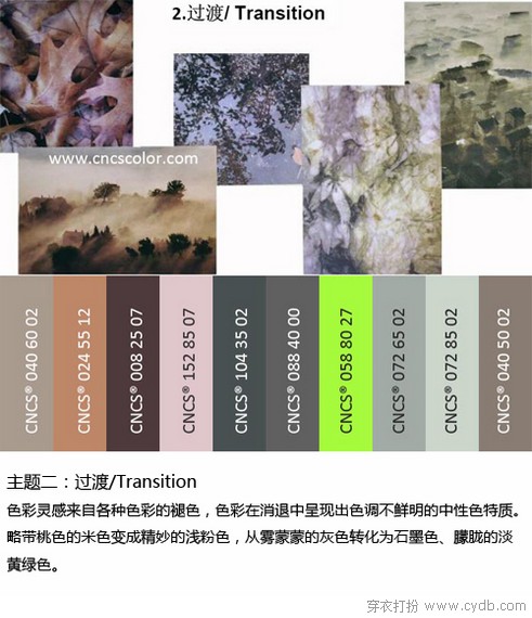 2024秋冬女装色彩趋势（上）