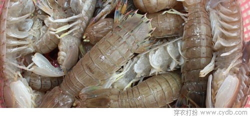 即食人生，come on！