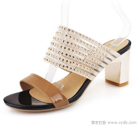 拖鞋兰