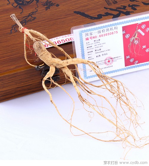 新年礼品收集