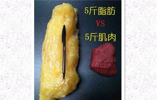 抽脂减肥要休息多久 抽脂减肥要休息几天