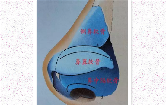 缩小鼻翼的精油有用吗 收缩鼻翼精油有用吗
