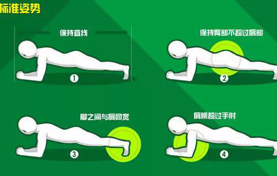 平板支撑胳膊会变粗吗