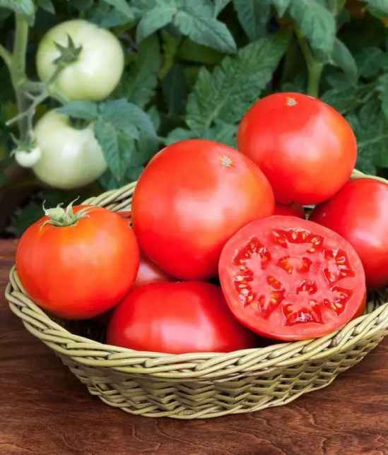 冬季减肥好的蔬菜 七大减肥蔬菜排行榜介绍