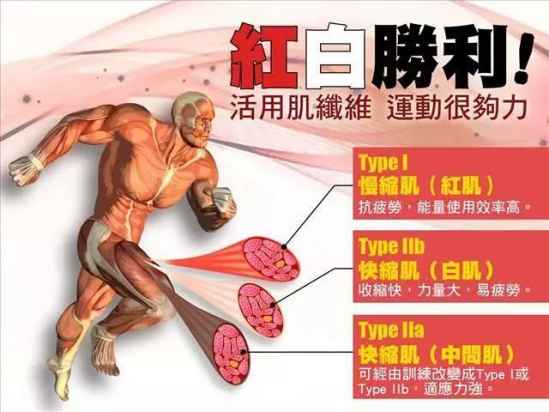 健身需要知道的事
