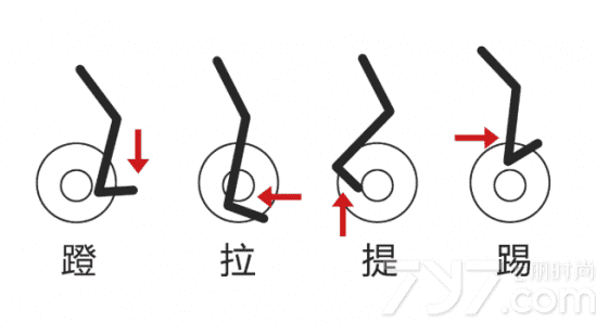 骑动感单车会有肌肉吗 动感单车会长肌肉吗