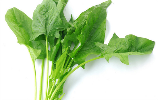越吃越瘦的10种蔬菜 吃什么蔬菜吸脂减肥