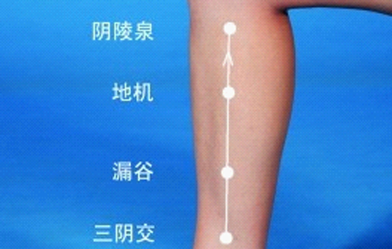刮痧减肥有效吗 刮痧可以减肥吗