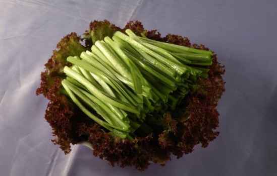 减肥吃什么食物瘦的快 8大瘦身离不开的食物推荐