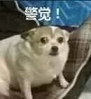 居家必备用品