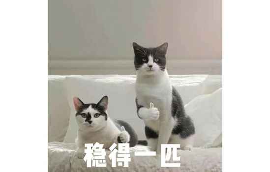 居家必备用品