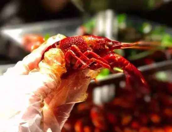 小龙虾壳属于什么垃圾 小龙虾壳是什么垃圾