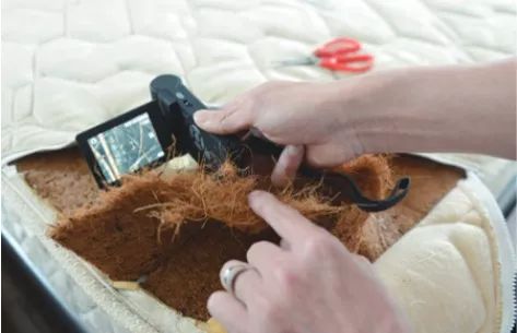 床垫清洁方法 原来家里最脏的居然是床上