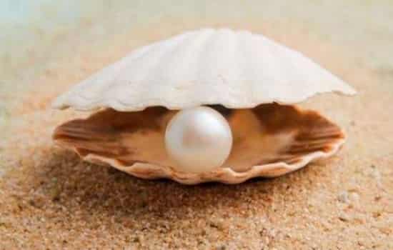 珍珠粉加蛋清做面膜有什么作用 珍珠与蛋清面膜的功效
