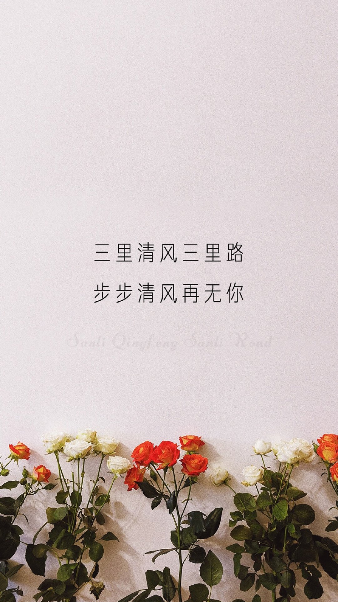 小清新创意文字图片高清手机壁纸