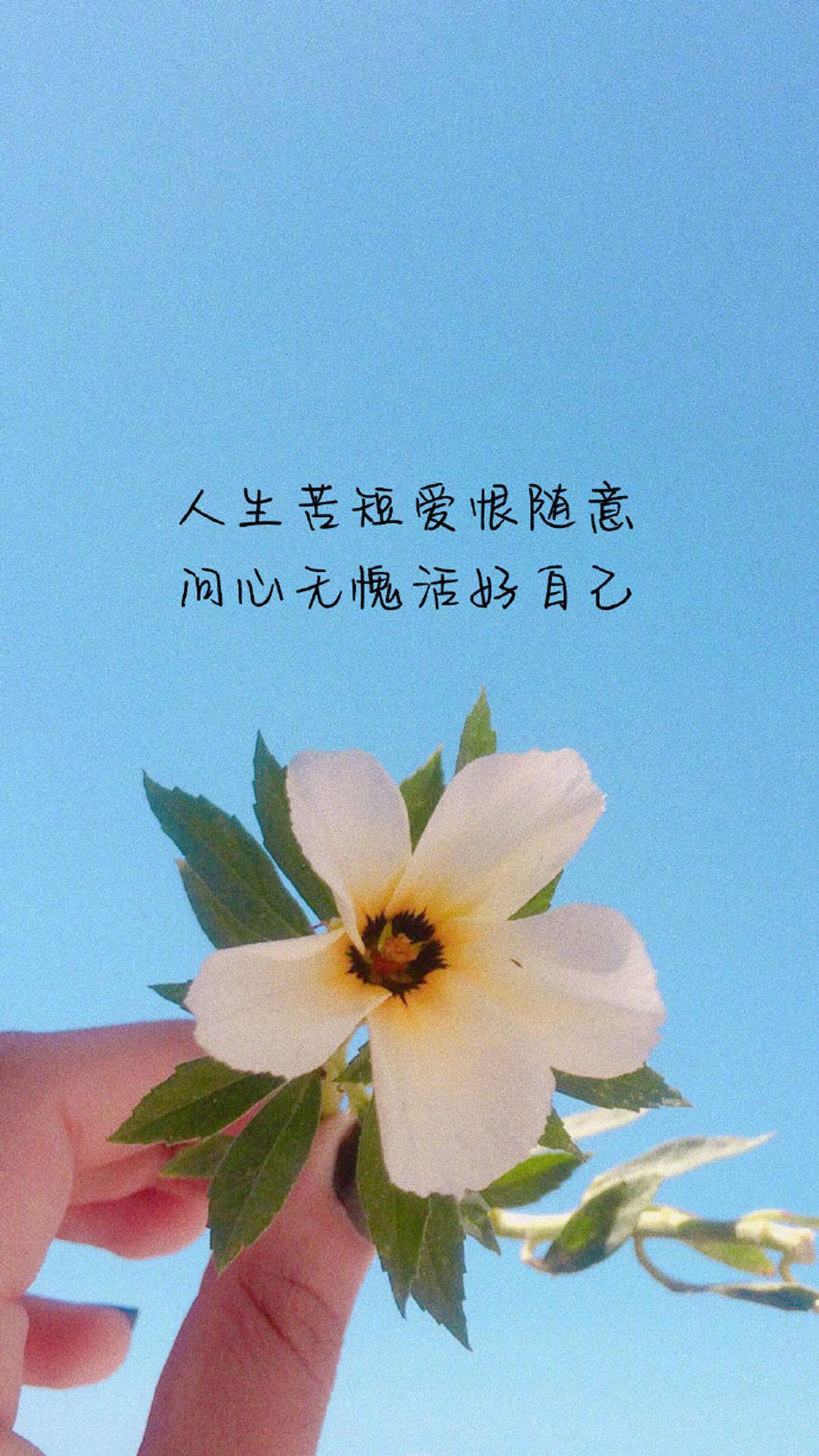 唯美情感语录图片高清手机壁纸