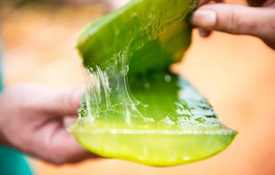 用海藻面膜时可以与精油一起吗 海藻面膜加精油调与可以吗