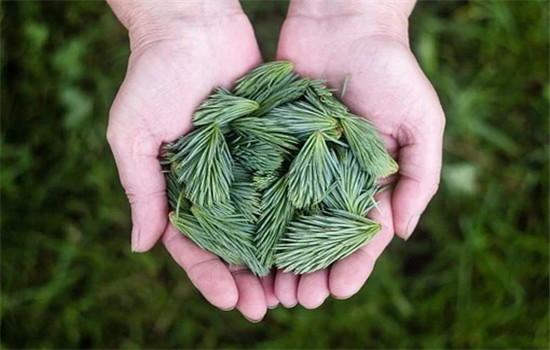 女朋友要分手应该去找她吗