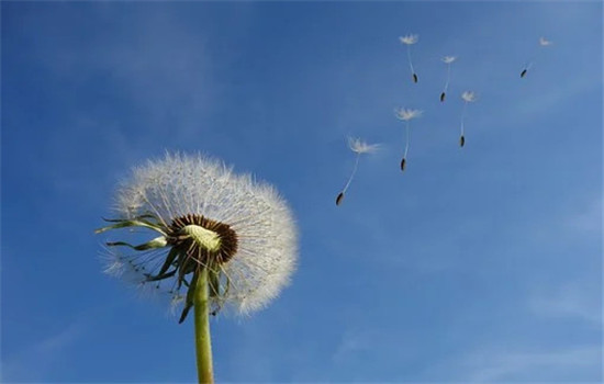 性格不合的人在一起幸福吗