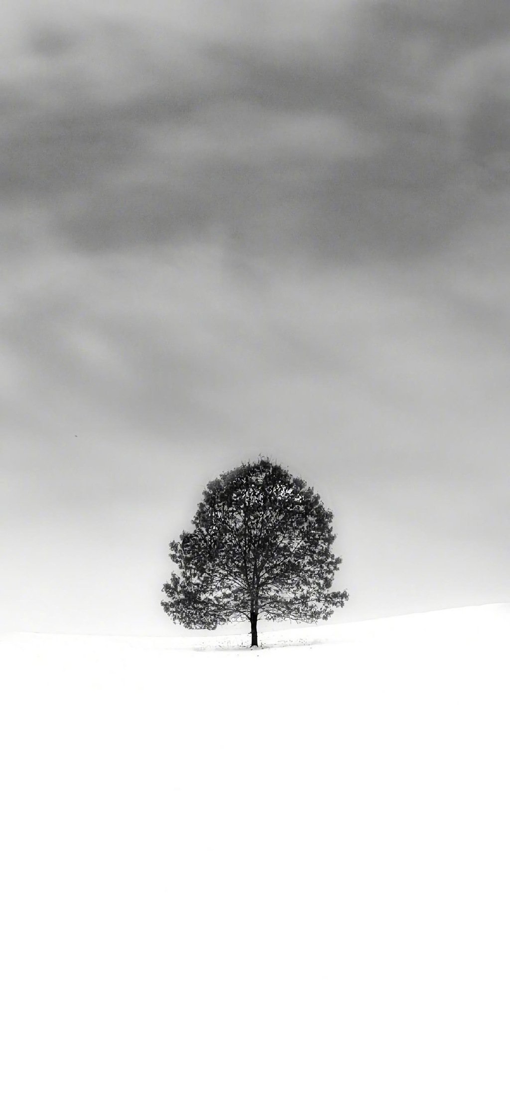 冰雪世界唯美高清手机壁纸图片
