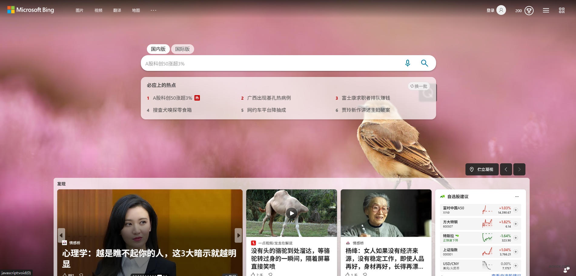 必应搜索官网首页截图