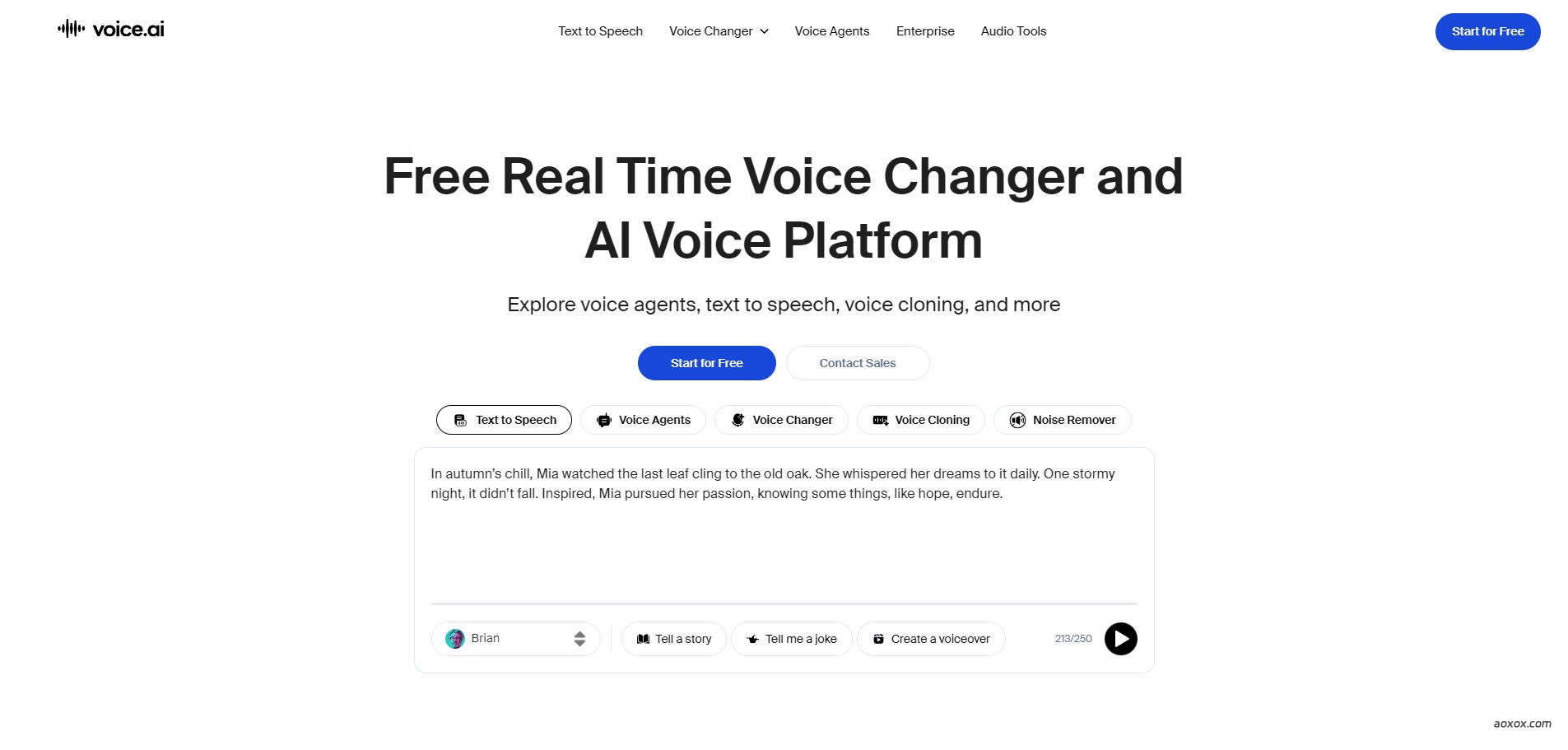 Voice AI官网首页截图