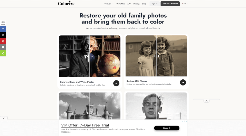 Imagecolorizer官网