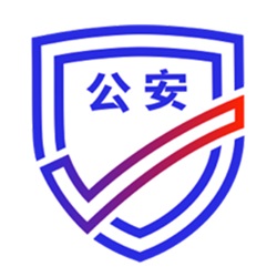 公安政务服务