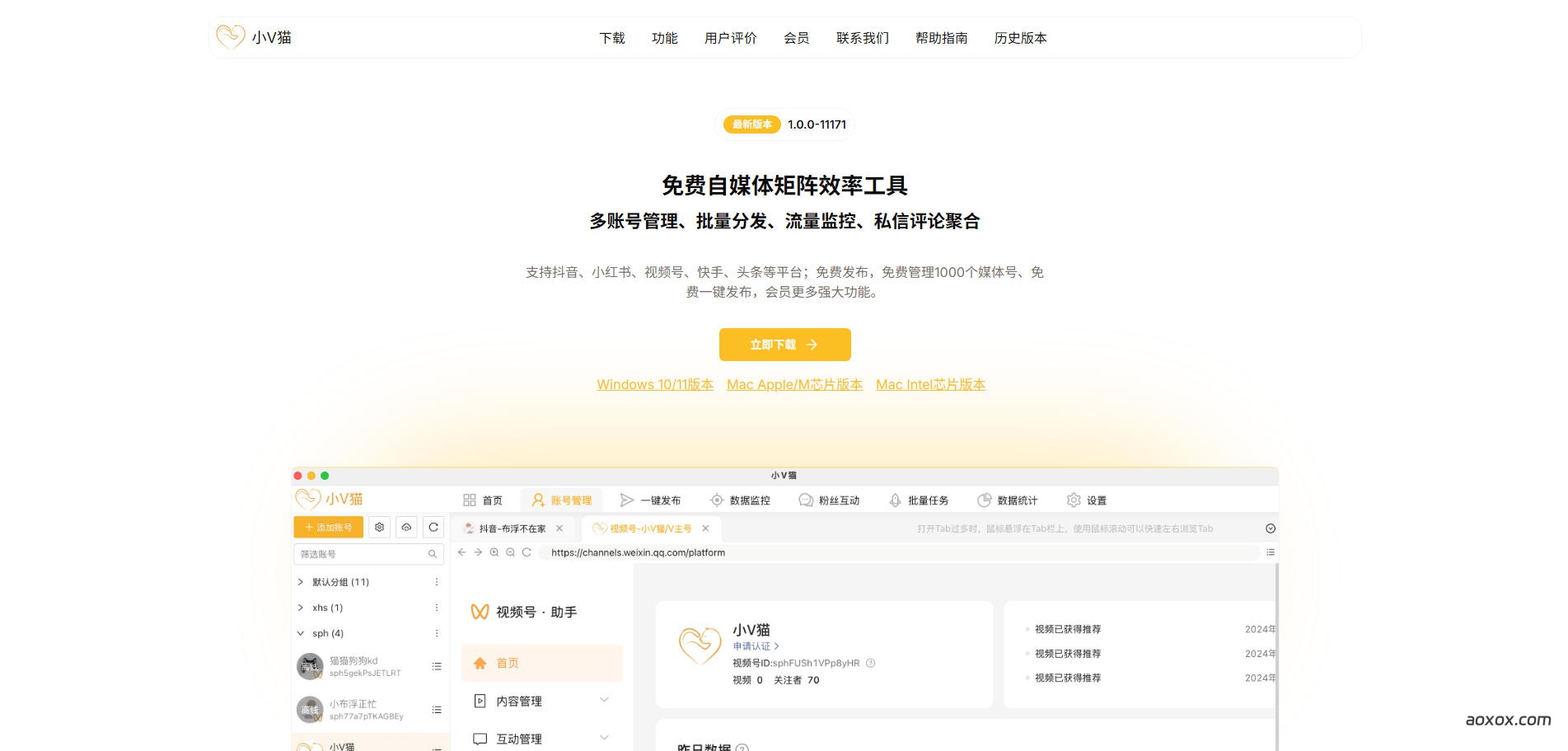 小V猫官网首页截图